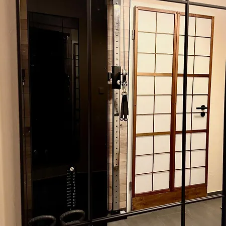 Oyado, Wellness, Bodensee, Badewannen Whirlpool, Ir Sauna, 3d Kamin, Grill, Japanisch * Иберлинген