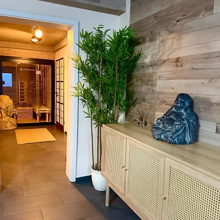 Apartment Oyado, Wellness, Bodensee, Badewannen Whirlpool, Ir Sauna, 3d Kamin, Grill, Japanisch