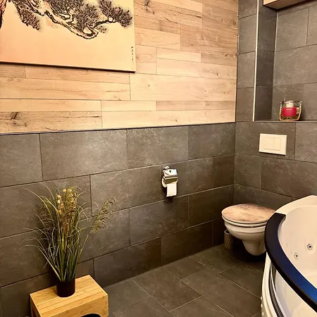Apartment Oyado, Wellness, Bodensee, Badewannen Whirlpool, Ir Sauna, 3d Kamin, Grill, Japanisch