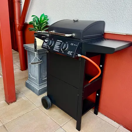 Oyado, Wellness, Bodensee, Badewannen Whirlpool, Ir Sauna, 3d Kamin, Grill, Japanisch